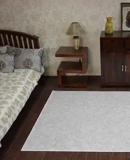 Koberce a koberečky Dywany Lusczow Kusový koberec SERENADE Hagy stříbrný, velikost 100x200