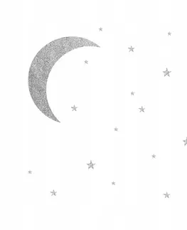 Příroda Samolepky na zeď stříbrný měsíc s hvězdami 39 ks