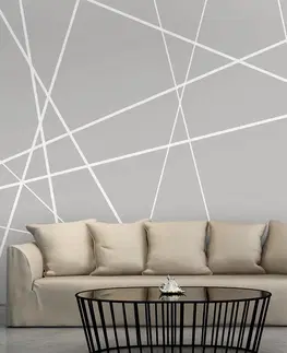 Vzorované tapety Fototapeta moderní pavučina - Modern Cobweb