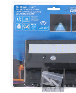 Zahradní lampy Grundig Grundig - LED Solární svítidlo se senzorem 1xLED/0,25W/1xAA 