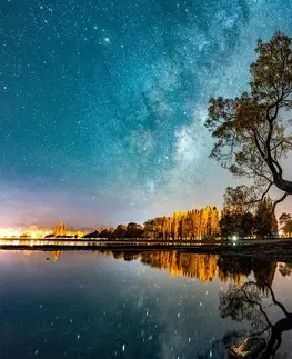 Obrazy přírody a krajiny Obraz strom pod hvězdnou oblohou