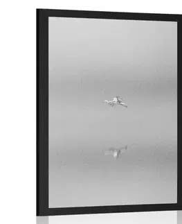 Černobílé Plakát pták v mlze v černobílém provedení