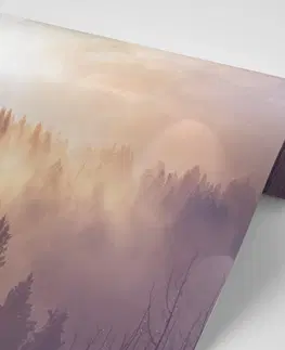 Samolepící tapety Samolepící fototapeta mlha nad lesem