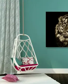 Černobílé obrazy Obraz tygr v sépiovém provedení