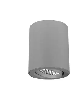 Podhledová svítidla LTS Otočný a naklápěcí LED spot Button 300, 14 W