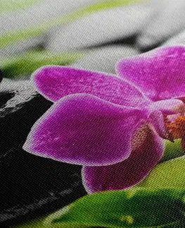 Obrazy Feng Shui Obraz wellness zátiší s fialovou orchidejí