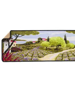 Koberce a koberečky Kuchyňský koberec s potiskem, Provence