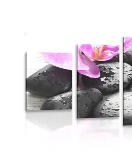 Obrazy Feng Shui 5-dílný obraz krásná souhra kamenů a orchideje