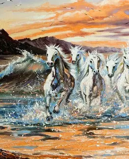 Obrazy zvířat Obraz koně tvořeny vodou
