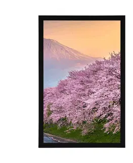 Příroda Plakát nádherné Japonsko