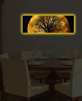 Obrazy Hanah Home Obraz s led osvětlením Ledda Night 90x30 cm