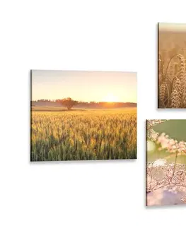 Sestavy obrazů Set obrazů pole při západu slunce