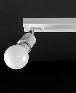 Svítidla TooLight Stropní svítidlo Reflektor APP695-2C bílé