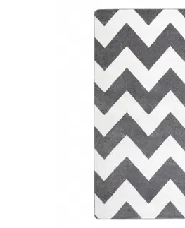 Koberce a koberečky Dywany Lusczow Kusový koberec SKETCH CRAIG šedý / bílý - Cikcak, velikost 160x220