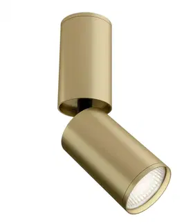 Moderní bodová svítidla MAYTONI Stropní svítidlo FOCUS S C051CL-01MG