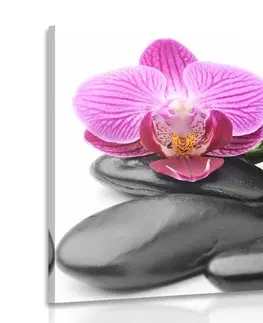 Obrazy Feng Shui Obraz masážní wellness kameny