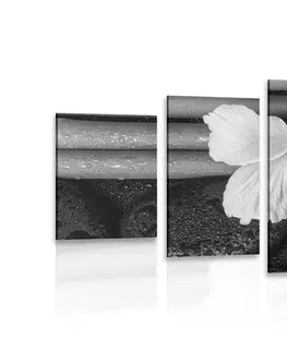 Černobílé obrazy 5-dílný obraz wellness zátiší v černobílém provedení