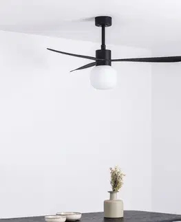 Stropní ventilátory se světlem FARO BARCELONA Stropní ventilátor Amelia Ball LED světlo černá