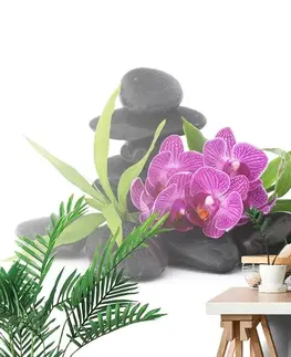 Tapety Feng Shui Tapeta fialová orchidej v Zen zátiší