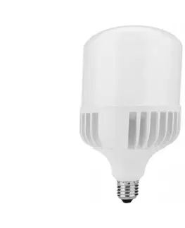 Žárovky  LED Žárovka E27/30W/230V 5000K -  