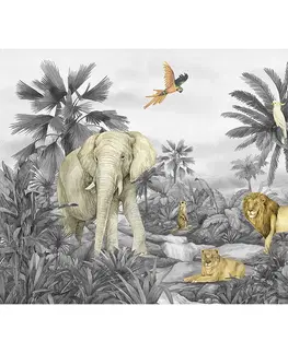 Tapety Dětská fototapeta Jungle 252 x 182 cm, 4 díly