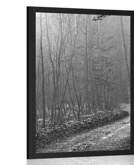 Černobílé Plakát cestička do lesa