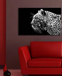 Obrazy Wallity Obraz s LED osvětlením LEVHART 44 45 x 70 cm