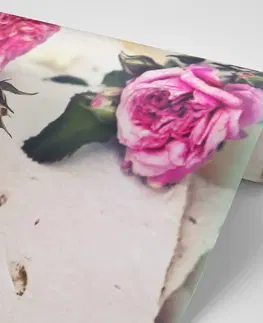 Samolepící tapety Samolepící fototapeta růže v rozkvětu