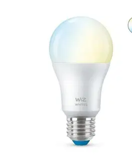 LED žárovky LED Žárovka WiZ Tunable White 8718699787035 E27 A60 8-60W 806lm 2700-6500K, stmívatelná