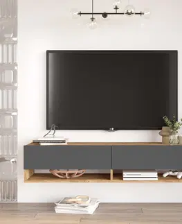 Obývací stěny a sestavy nábytku Televizní stolek FR11 borovice atlantic antracit