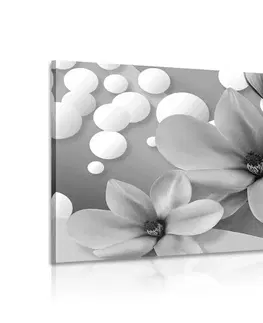 Černobílé obrazy Obraz černobílá magnolie na abstraktním pozadí