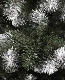 Vánoční stromky Vánoční borovice 220 cm