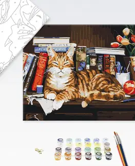 Zvířata Malování podle čísel kočka knihomolka