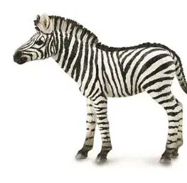 Hračky MAC TOYS - Zebra