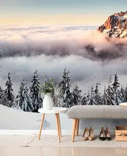 Tapety příroda Fototapeta Rozsutec ve sněhové peřině