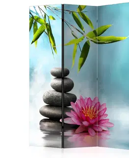 Paravány Paraván Water Lily and Zen Stones Dekorhome 135x172 cm (3-dílný)