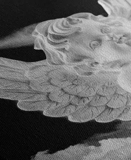 Černobílé obrazy Obraz černobílý pečlivý andílek na nebi