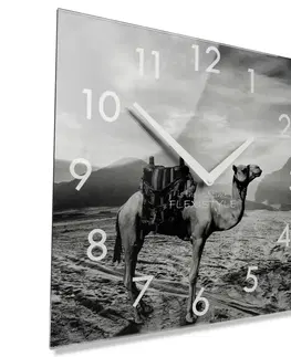 Nástěnné hodiny Dekorační černobílé skleněné hodiny 30 cm s motivem velblouda