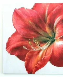 Obrazy Obraz na plátně Red flower, 50 x 50 cm