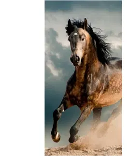 Osušky Faro Bavlněná froté osuška HORSE 70x140 cm vícebarevná