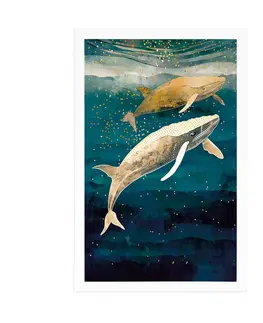 Podmořský svět Plakát velryby v oceánu