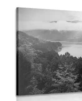Černobílé obrazy Obraz řeka uprosted lesa v černobílém provedení