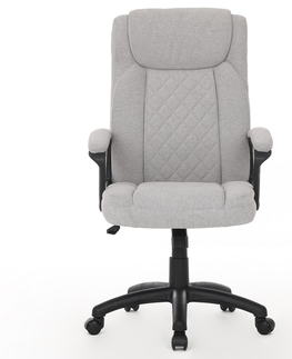Kancelářské židle Kancelářská židle PACHYCORNUS, šedá