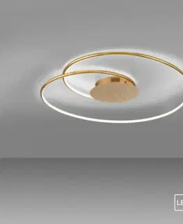 Designová stropní svítidla PAUL NEUHAUS LED stropní svítidlo zlaté stmívatelné teplá bílá do interiéru 3000K PN 6189-12