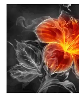 Tapety květiny Fototapeta lilie v kouři - Fiery flower inside the smoke