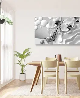 Černobílé obrazy Obraz černobílá orchidej na abstraktním pozadí