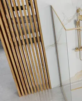 Sprchové kouty Sprchový kout Rea FARGO 80x100 cm zlatý