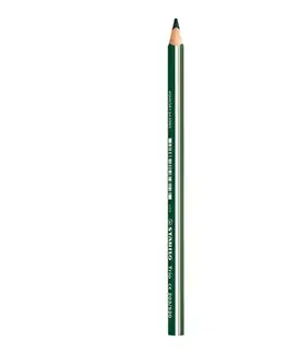 Hračky STABILO - Trojhranná hrubá pastelka TRIO listová zelená