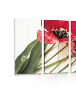 Obrazy květů 5-dílný obraz rozkvetlé červené tulipány