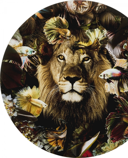 Fotoobrazy KARE Design Skleněný obraz Curious Lion Ø100cm